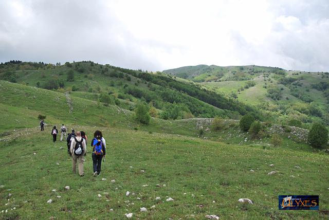 su e giu per colline.JPG